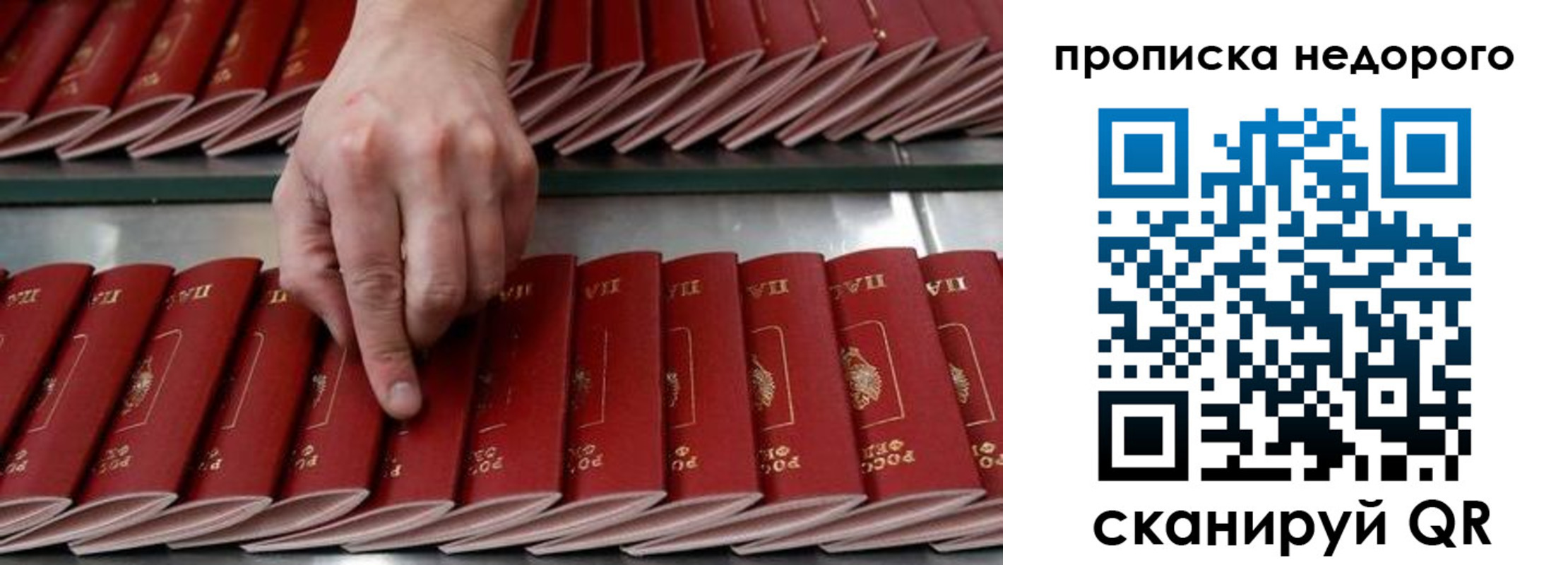 прописка регистрация в Калининградской области